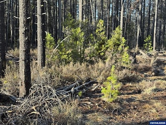 L 6 Artesian Dr, Chiloquin, OR 97624