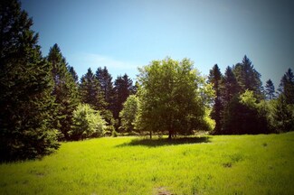 NA 357th Ave NW, Springvale Township, MN 55008
