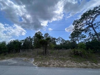 18315 Galveston St, Shady Hills, FL 34610