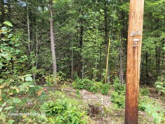 Lot 13 Redstone Rd, Campton, NH 03223