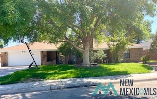 1108 San Juan Dr, Roswell, NM 88201