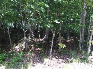 0 Aspen Dr Unit 15-1246, Ronceverte, WV 24970