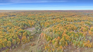 100 Mt Frederick Rd, Frederic, MI 49733