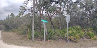 35161 Manuel St, Webster, FL 33597