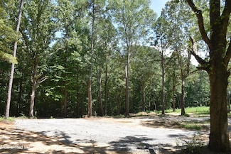 6 Gray Academy Rd, Ashland, MS 38603