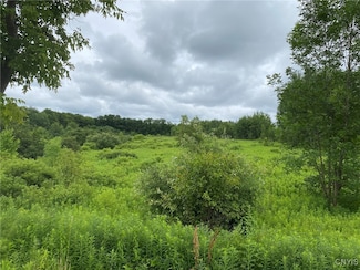 2836 Us Route 11, Mexico, NY 13131