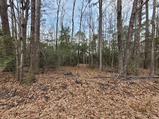 Lot 33 Wildwood Rd, Colonial Beach, VA 22443