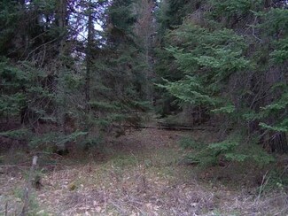 ON Presbyterian Rd, Townsend, WI 54175