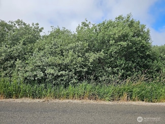 3607 102nd St, Long Beach, WA 98631