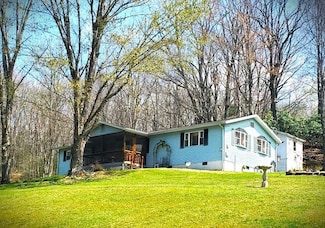 53 Apollo Rd, Canvas, WV 26662