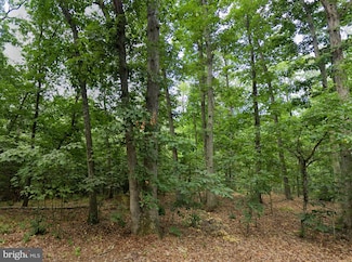 00 Level Hill Rd, Luray, VA 22835