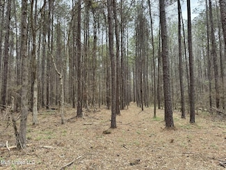 0 Robinson Rd Unit 23286998, Canton, MS 39046