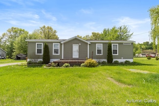 5443 Gravel Ridge Rd, Lakeview, MI 48850