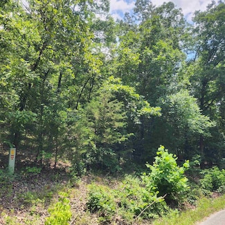 L-15, B-13A Cochise Rd, Cherokee Village, AR 72529
