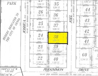 1015 Joel Ln, Genoa, IL 60135