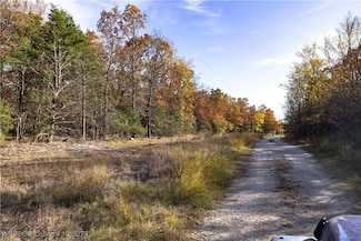 TBD S 4497 Rd, Vian, OK 74962