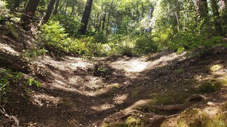 18190 Old Monte Rio Rd, Guerneville, CA 95446