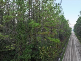 1 Rogers Break, Jesup, GA 31546