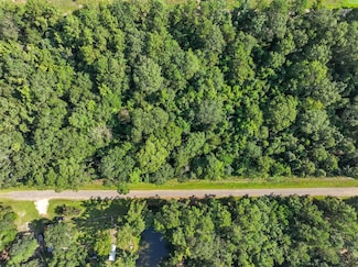 13 Dora Ln, Shepherd, TX 77371