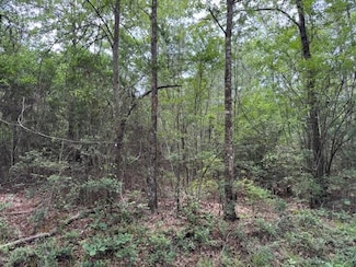 NA New Home Rd, Magnolia, MS 39648