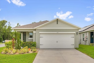 336 Pelham Park Dr, Deland, FL 32720