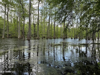 0 County Road 550, Minter City, MS 38944