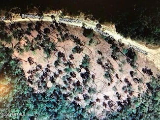 115 Sandpiper Ln, Georgetown, FL 32139