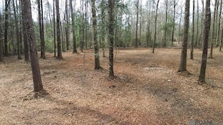 Tract 2-B Bryce Hyde Rd, Roseland, LA 70456