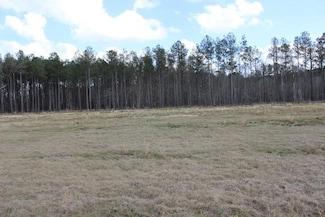 24755 B-3 Louisiana 442, Independence, LA 70443