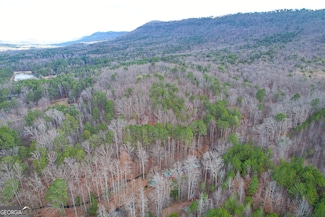 32 + - Acres On Hurricane Rd, Rocky Face, GA 30740