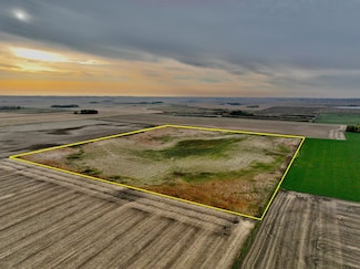 TBD 121st St, Leeds Township, MN 56151