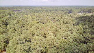 TBD Lendrim Lake Dr, Conway, SC 29526