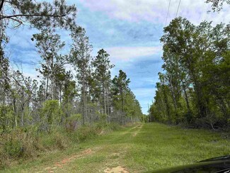 BLK M and M Ln, McDavid, FL 32568