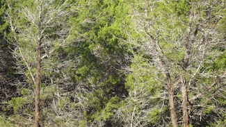 13904 & 13902 Saskatchewan Dr, Austin, TX 78734