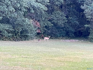 20 ac Sierra Dr SW, Decatur, AL 35603