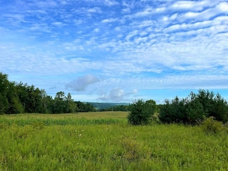 0 Vl W Hill Rd Unit LotWP001, Cattaraugus, NY 14719