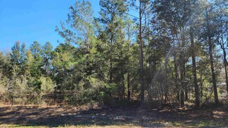 Tbd Dawn Ave, Interlachen, FL 32148