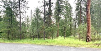 335 Hogans Way, Chewelah, WA 99109