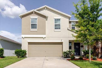 17156 Yellow Pine St, Wimauma, FL 33598