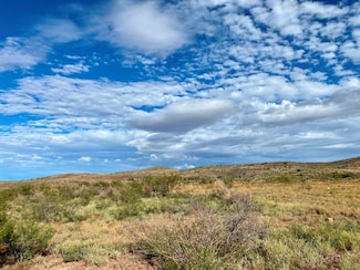Hwy 90 Us 90, Alpine, TX 79830