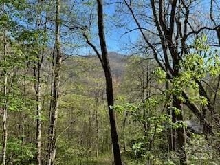 7A Chestnut Flats Rd Unit 7, Waynesville, NC 28786