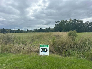 0 Cool Springs Rd, Marion, SC 29571