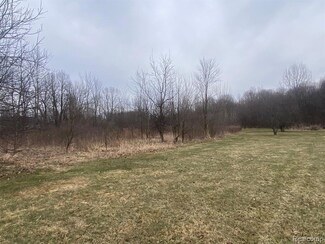 10.6 Acres Faulkner Faulkner Dr, Davison Township, MI 48423