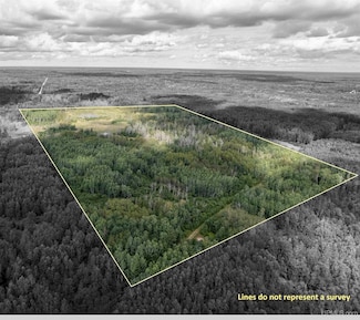 TBD Plantation Ln, Maple Ridge Township, MI 49880