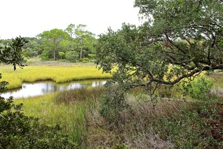 1206 E Ashley Ave, Folly Beach, SC 29439