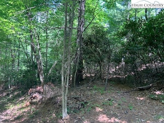 TBD Lower Nettle Knob Rd, West Jefferson, NC 28694