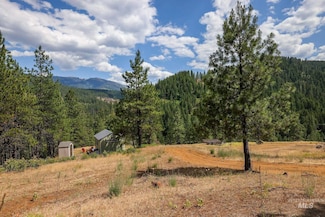 28 Hillman Basin Rd, New Meadows, ID 83654