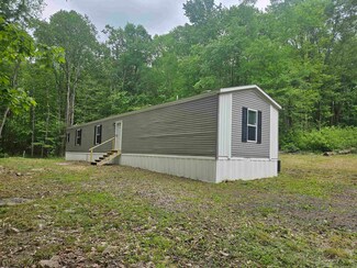 1360 Awman Rd, Bruceton Mills, WV 26525