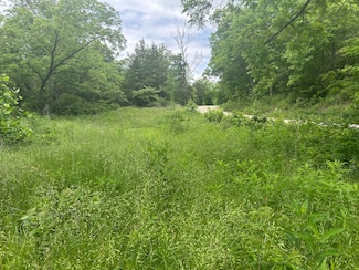5025 Kolb Hollow Rd, Climax Springs, MO 65324