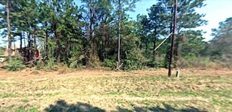 0 Brookhaven Path Unit 24158724, West Livingston, TX 77351
